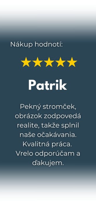 recenzia na umelý stromček - Patrik
